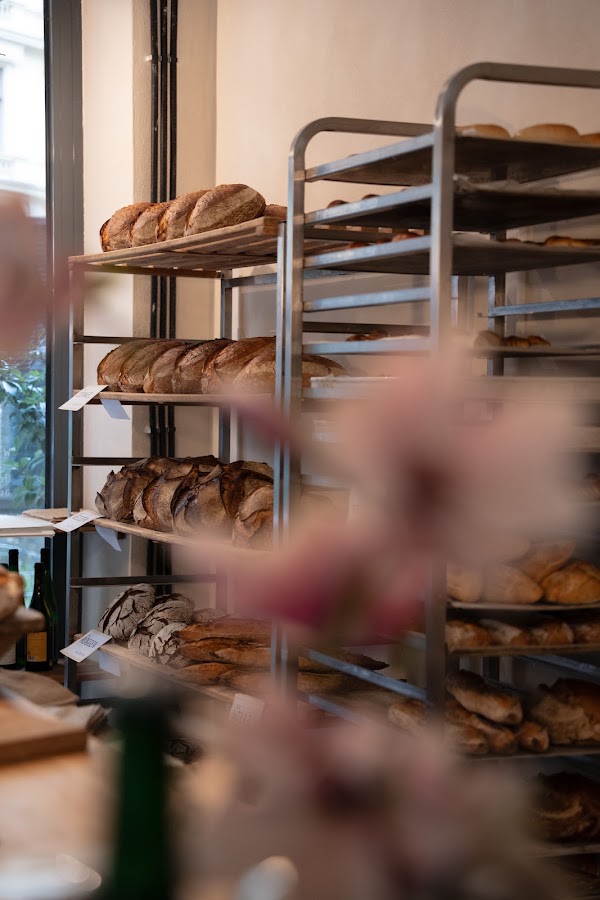 THO - Wiener Brot 1