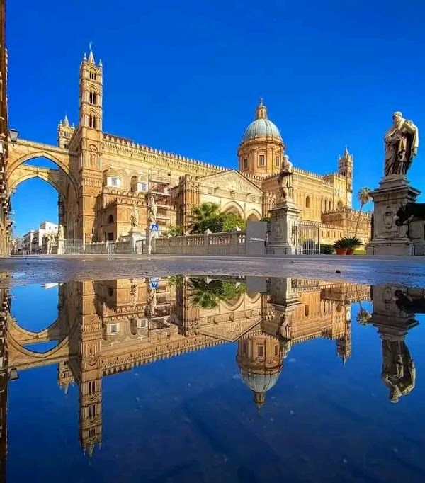 Palermo 5