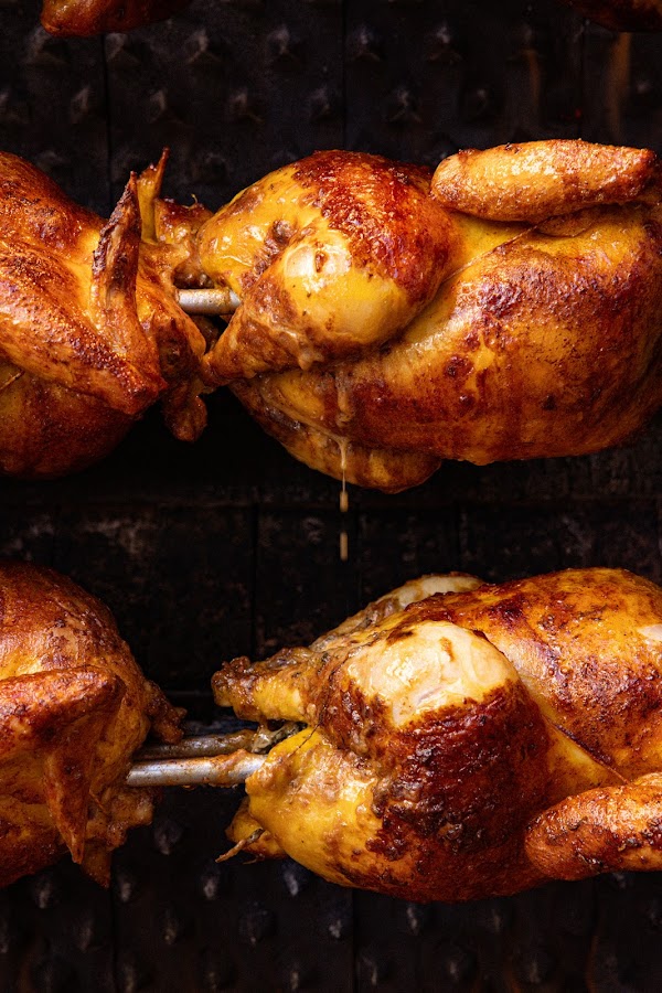 Rôtisserie Segar 3