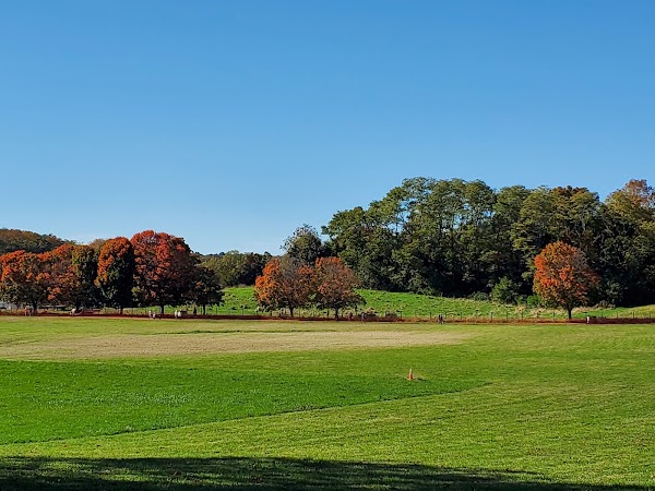 Chase Farm 1