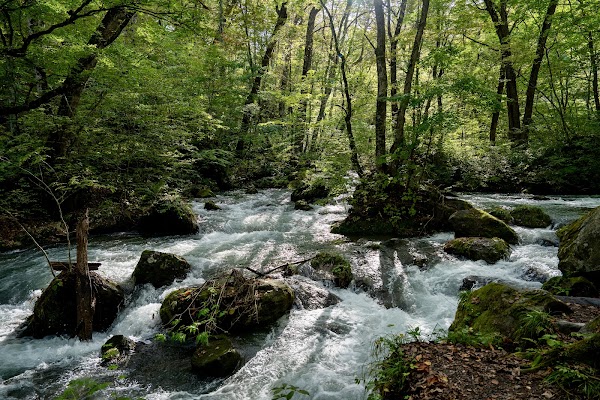 Oirase River