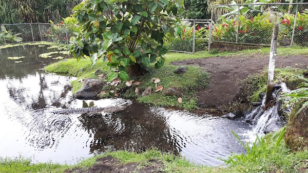 La Fortuna 4