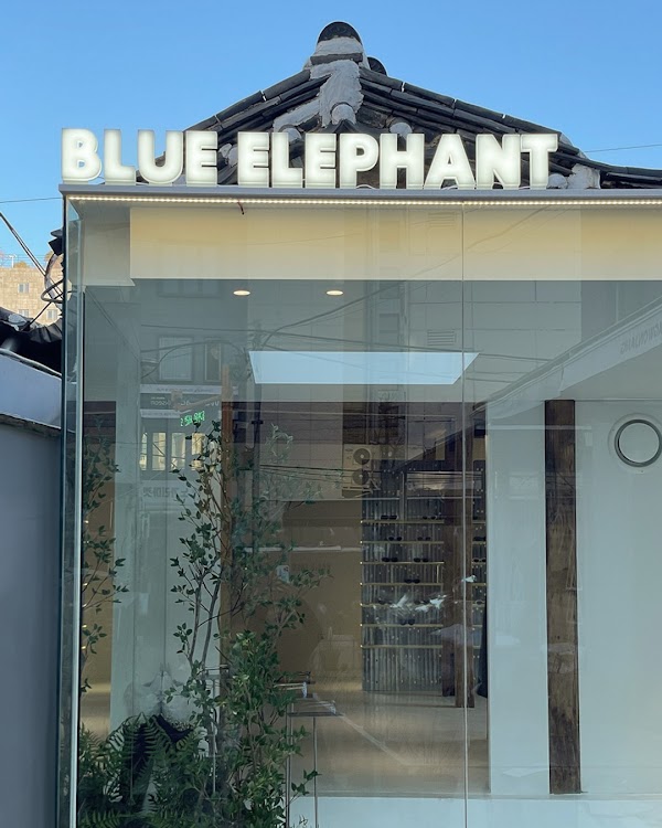 블루엘리펀트 익선 쇼룸 BLUE ELEPHANT IKSEON 1