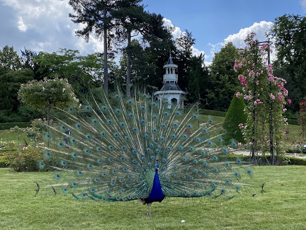 Parc Bagatelle - la Roseraie 3