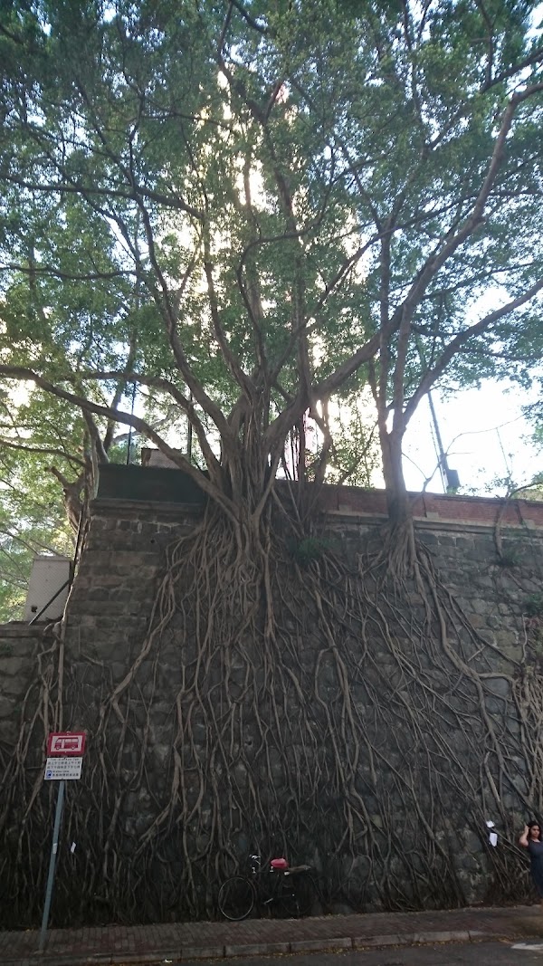 Forbes Street
