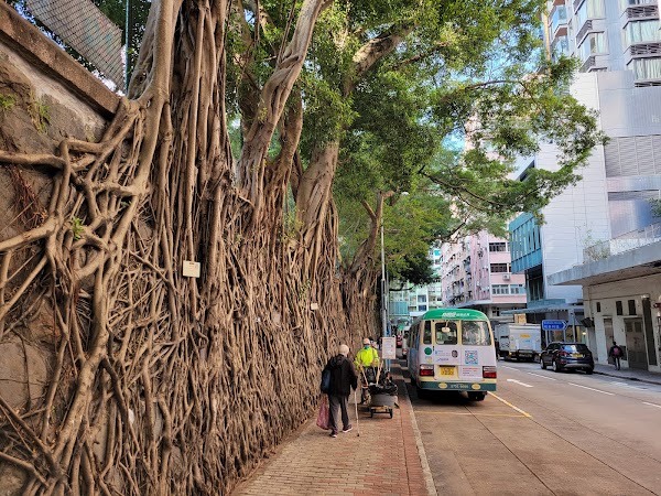 Forbes Street 5