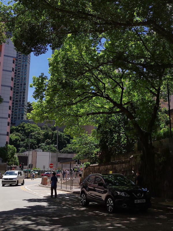 Forbes Street 4