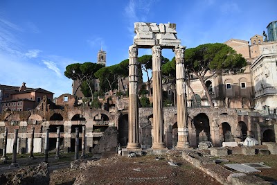 Temple of Venus Genetrix