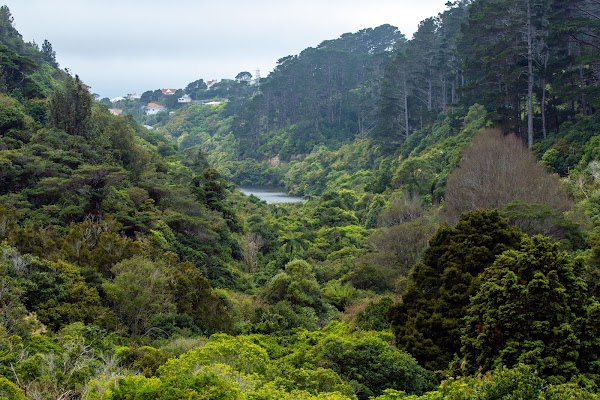 Zealandia Te Māra a Tāne 5