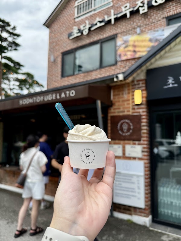 Soontofu Gelato 3