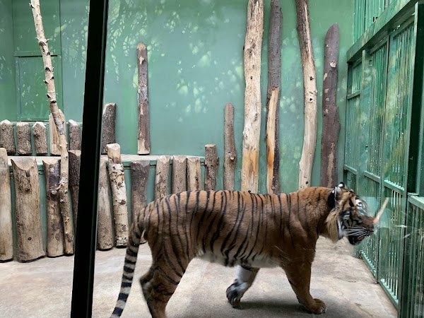 Prague Zoo 3
