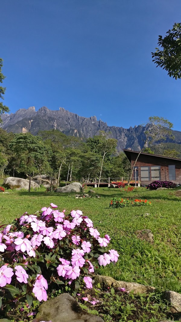 Spring Garden Kundasang 2