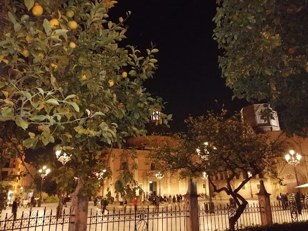 Plaça de la Mare de Déu 3