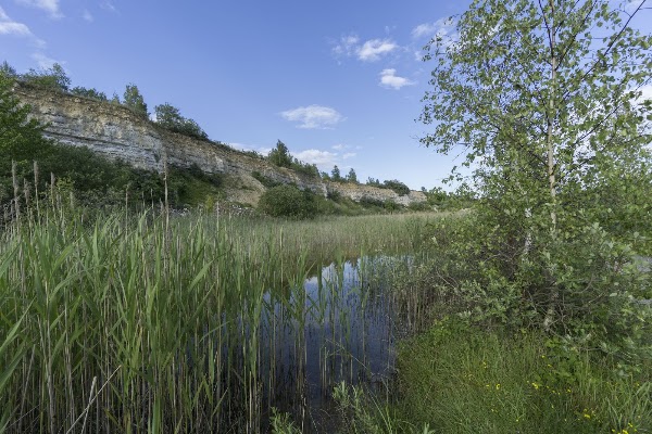 Karlstrup Kalkgrav 4