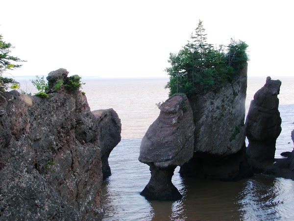 Hopewell Rocks 1