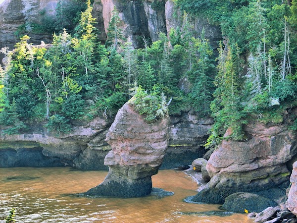 Hopewell Rocks 4
