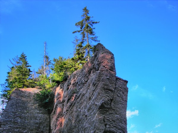 Hopewell Rocks 3