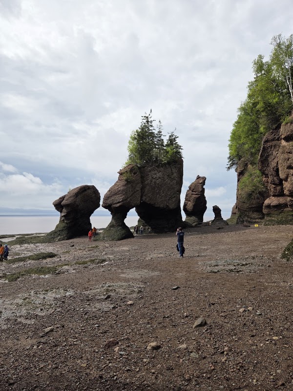 Hopewell Rocks 2