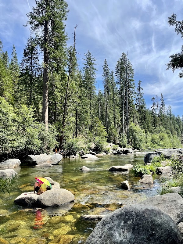 Calaveras Big Trees State Park 3