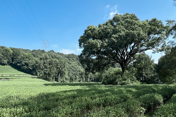 Longjingcun 2