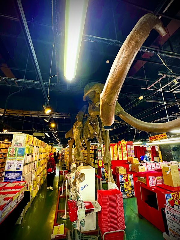Mandarake Umeda 4