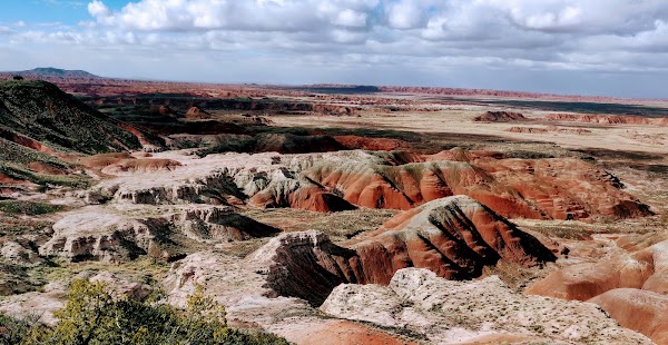 Petrified Forest National Park