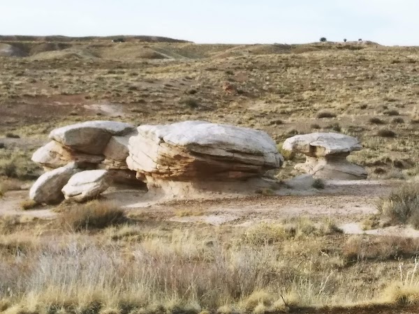 Petrified Forest National Park 5