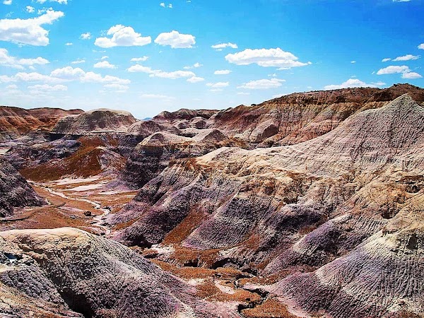 Petrified Forest National Park 4
