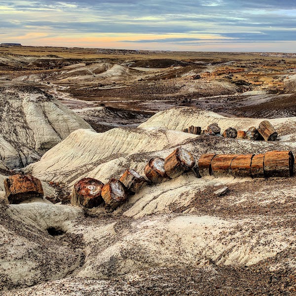 Petrified Forest National Park 3