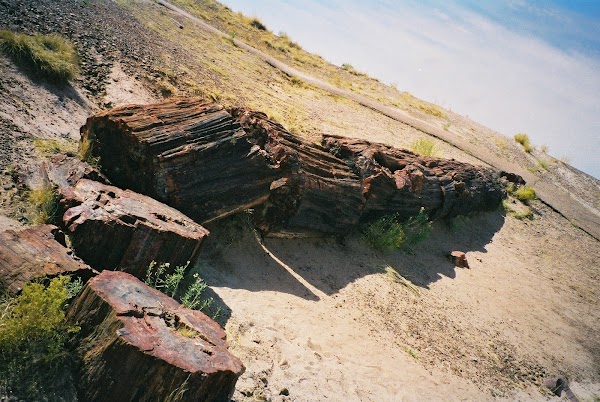 Petrified Forest National Park 2