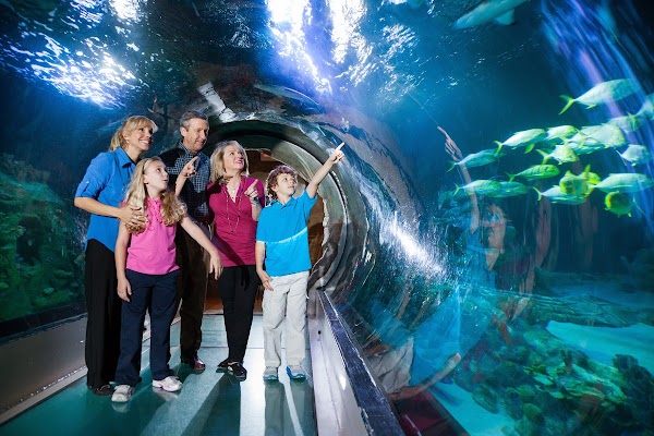 SEA LIFE Orlando Aquarium