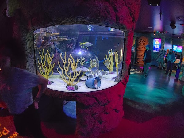 SEA LIFE Orlando Aquarium 5