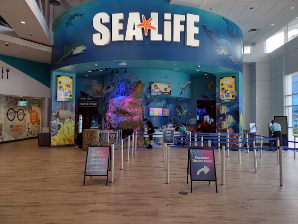 SEA LIFE Orlando Aquarium 4