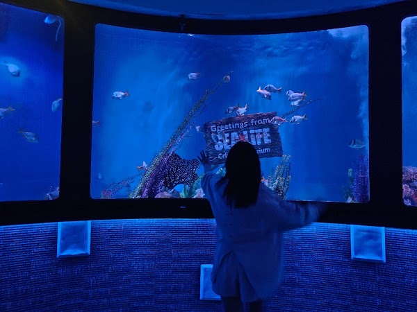 SEA LIFE Orlando Aquarium 2