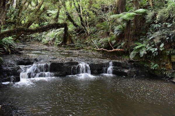 Purakaunui Falls 5