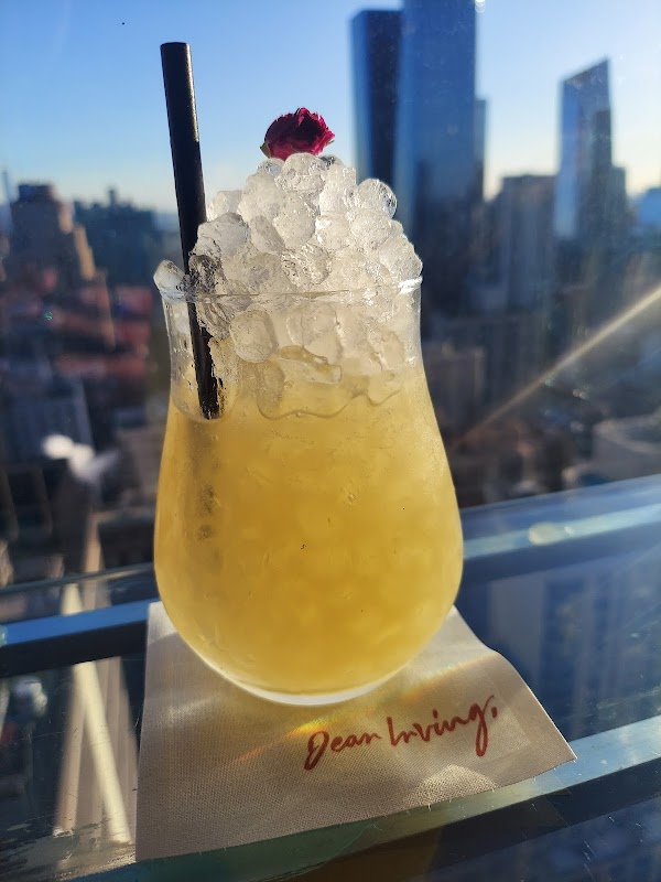 Dear Irving on Hudson Rooftop Bar 3