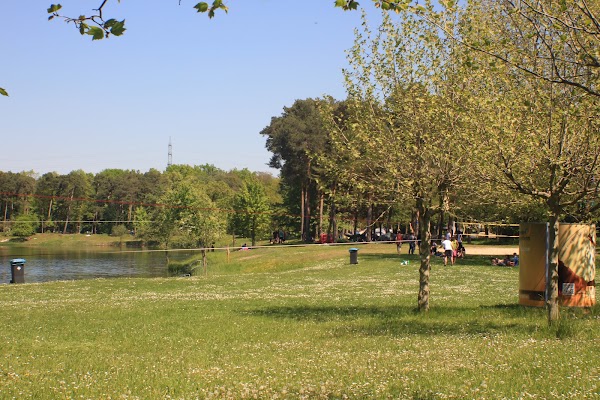 Waldschwimmbad
