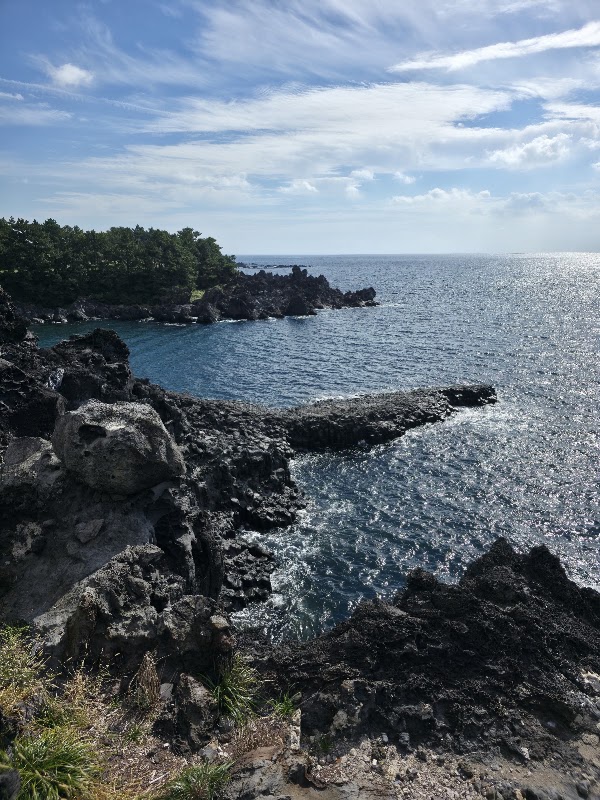 Daepo Jusangjeollidae (CLIFF) 4