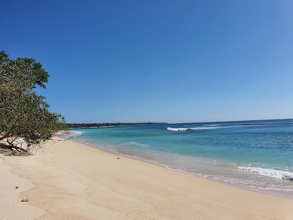 Tiger Tracks Surf Spot 1