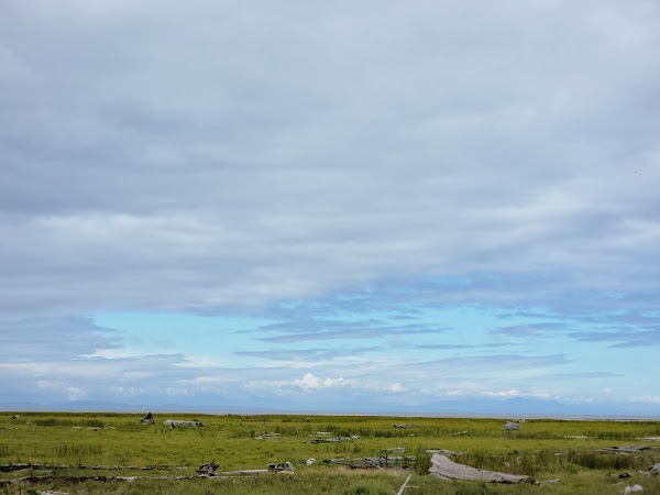 West Dyke Trail 2