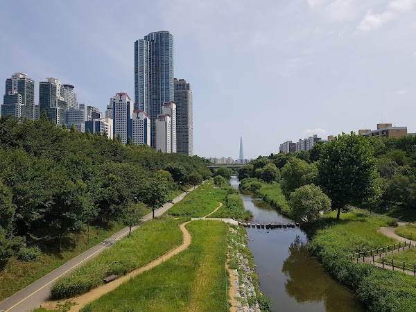 Yangjaecheon Stream 5