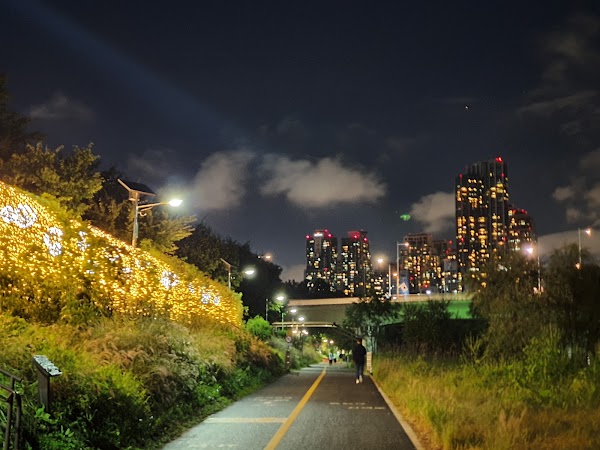 Yangjaecheon Stream 4