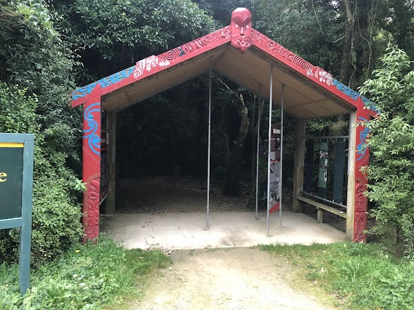 Manawatu Gorge Scenic Reserve 1