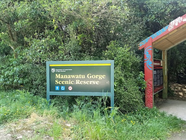 Manawatu Gorge Scenic Reserve 5