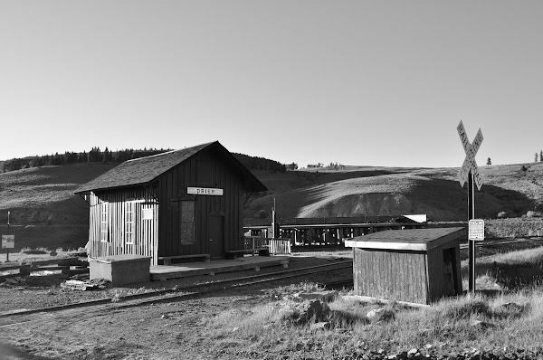 Osier 1