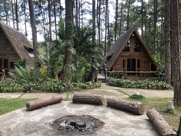 Doi Bo Luang Forest Park Forest 1