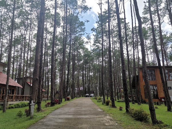Doi Bo Luang Forest Park Forest 5