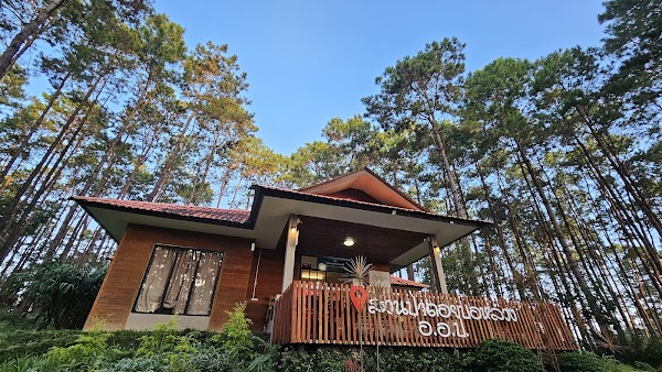 Doi Bo Luang Forest Park Forest 2