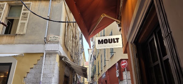 MOULT