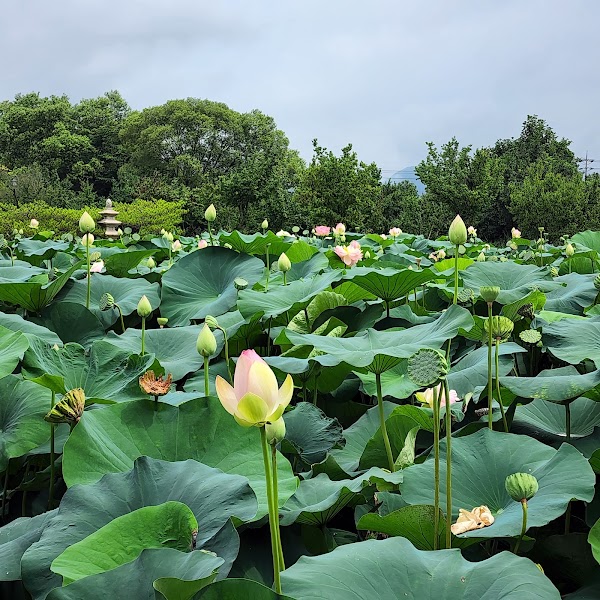 Semiwon Garden 1
